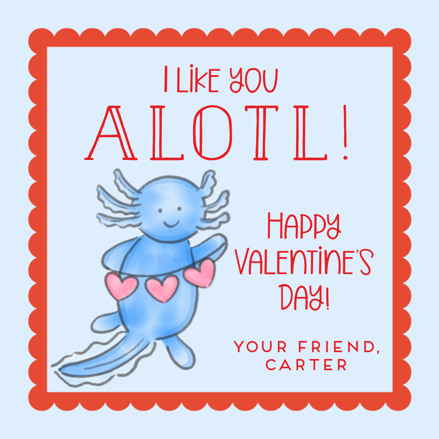 Boys Axolotl Valentines Stickers